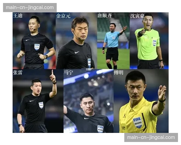 评论：年轻裁判在德甲赛场的执法表现与面临的舆论压力分析